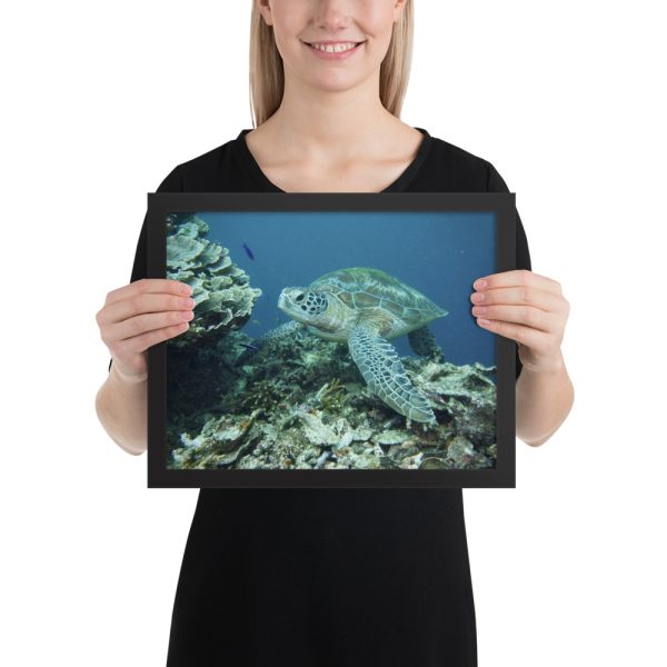 Matte Paper Framed Poster With Mat