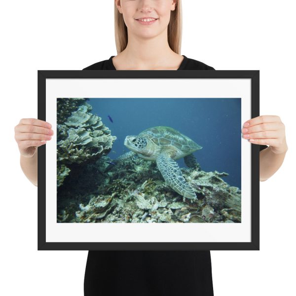 Matte Paper Framed Poster With Mat - Image 9